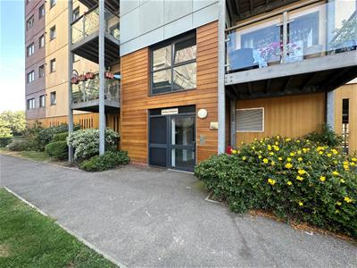 Picture 12